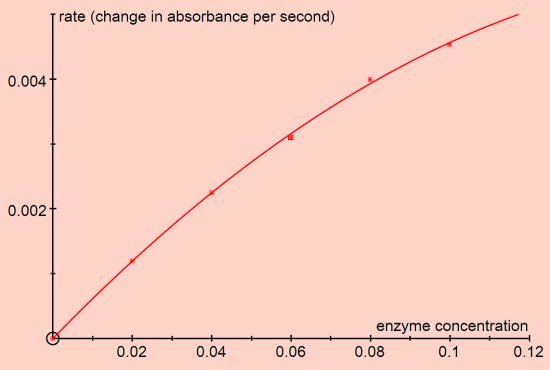 enzyme concentration