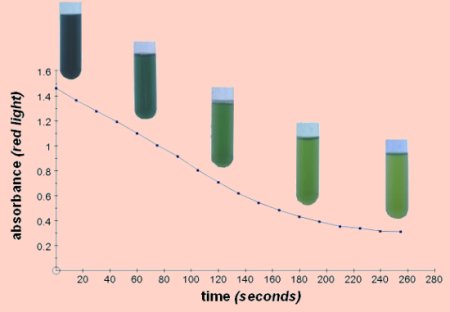 absorbance vs time