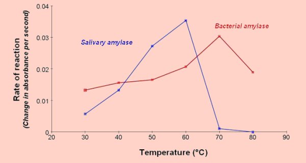 effect of ph on amylase