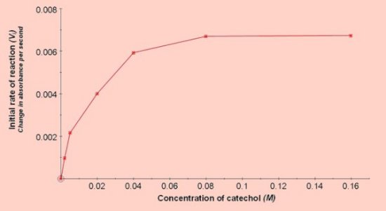 catechol oxidase and potato extract lab report