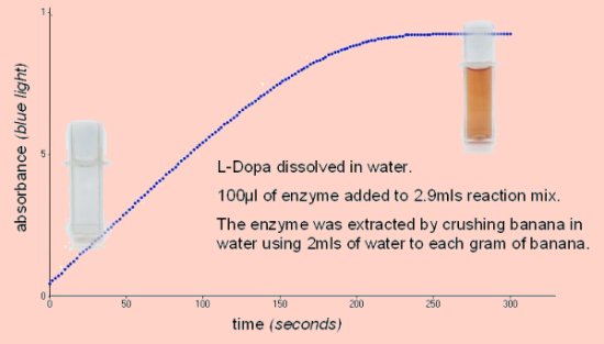 absorbance vs time