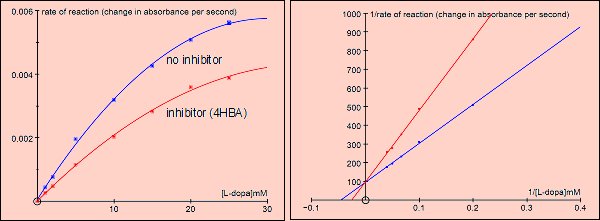 inhibitors