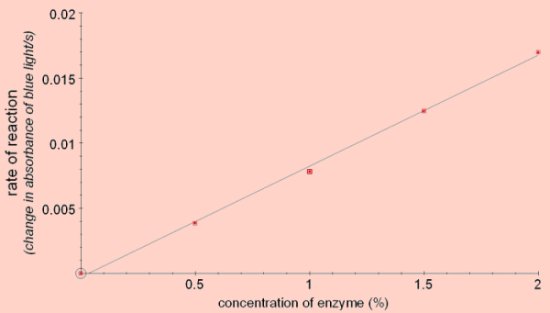 enzyme concentration
