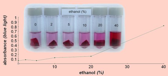 membrane alcohol