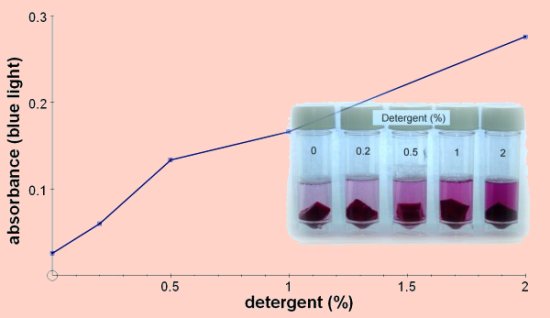 membrane detergent