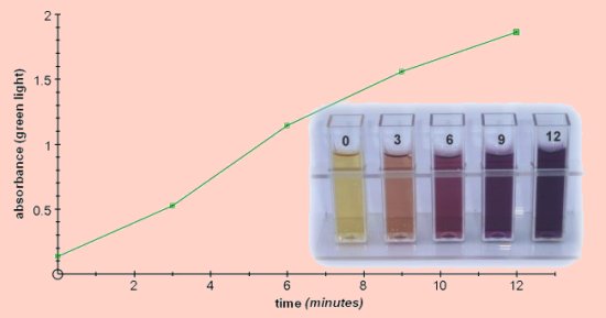 Phosphorylase Lab Report